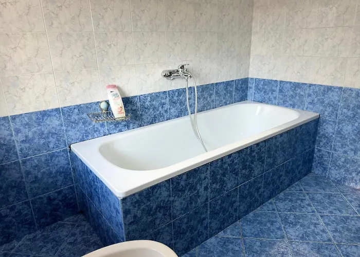 Golden Dublex 公寓 地拉那